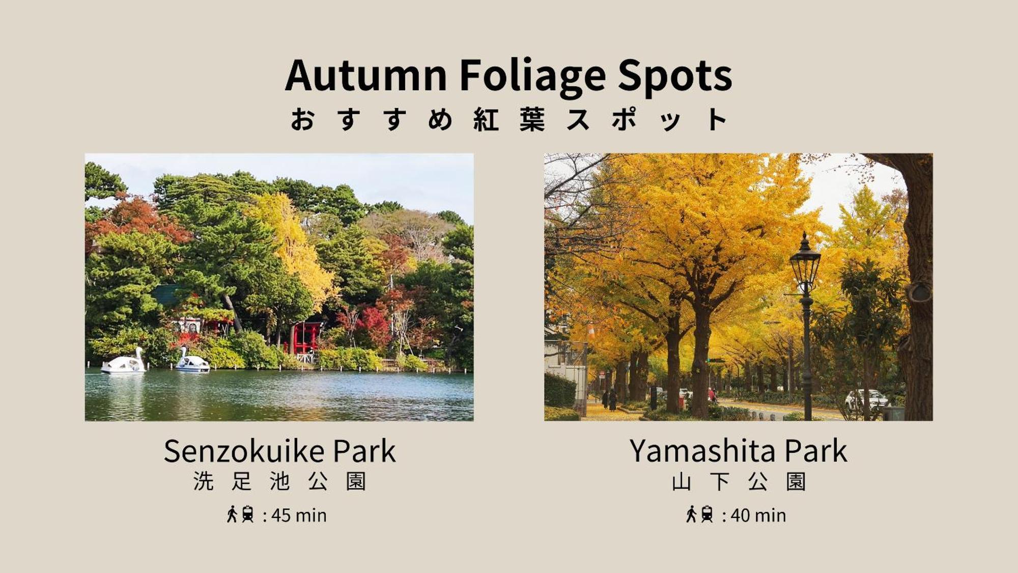 Apartament Mini House Tokyo South Zewnętrze zdjęcie